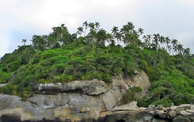 ESTAÇÃO ECOLÓGICA DOS TUPINIQUINS SP