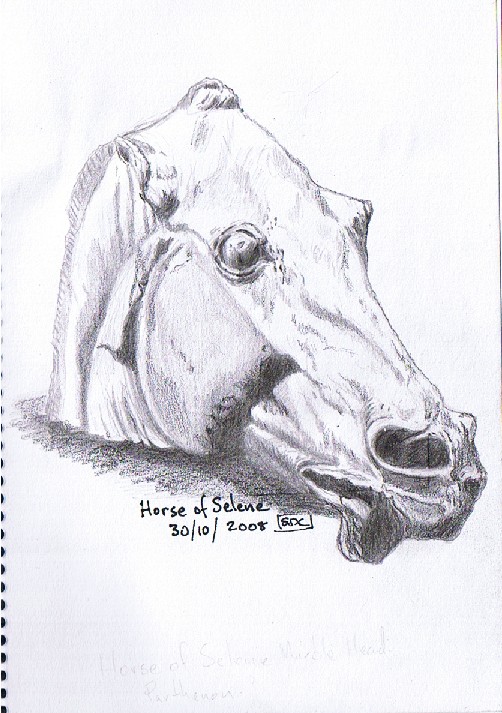 [horseofselenereduced.jpg]