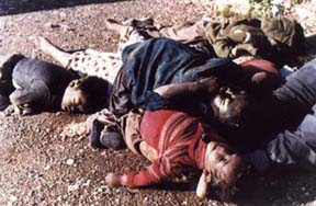 Attack on Halabja