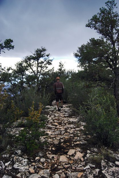 [Intrepid_Traveling_8_08NATURAL_PATH]