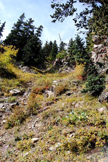 [Lost_Lake_9_08_LOOKING_UP_THE_FACE]