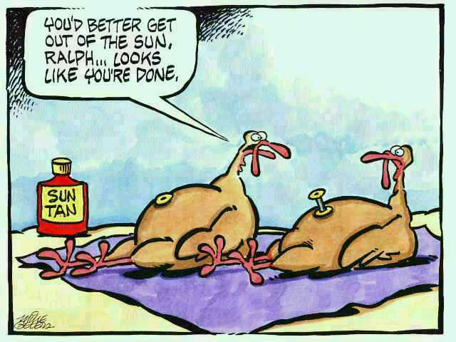 funny thanksgiving pictures