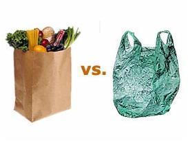 Plastic vs Paper Bag – GreenEdu