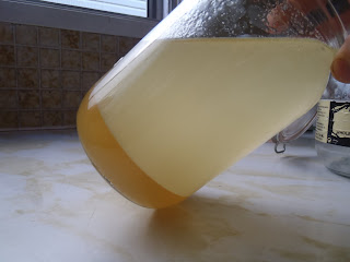 The rendered goose fat and the solidified jelly