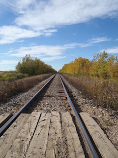 A railway in Sturgeon county near Tipi Creek Farm