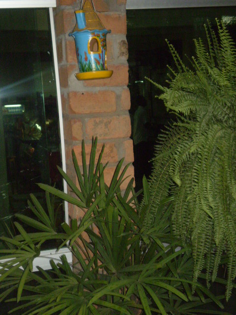 [PB090076.JPG]