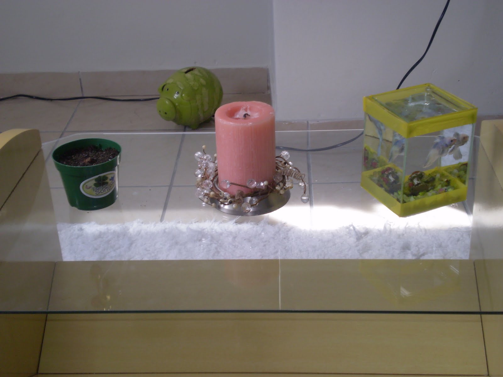 [PC060124.JPG]