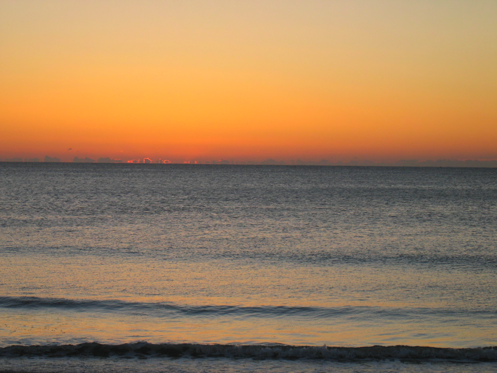 [IMG_7238.JPG]