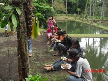 makan sambil menikmati suasana kebunku