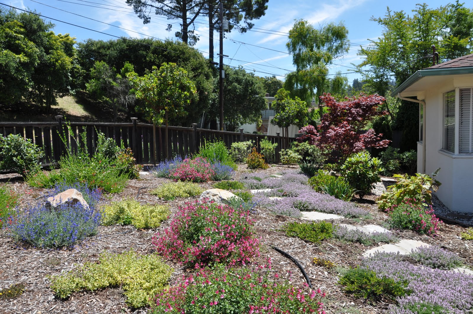 Kensington garden : Fiddlehead Gardens