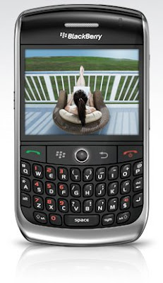BlackBerry Curve 8330