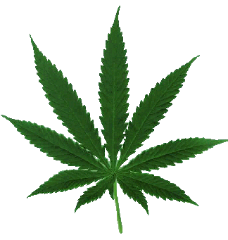 Weed+leaf+cartoon