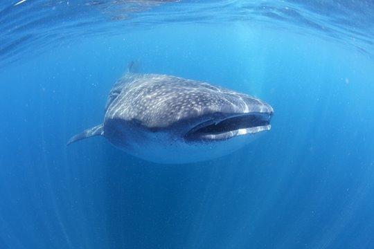 [Wideshot_MG_1406.jpg]