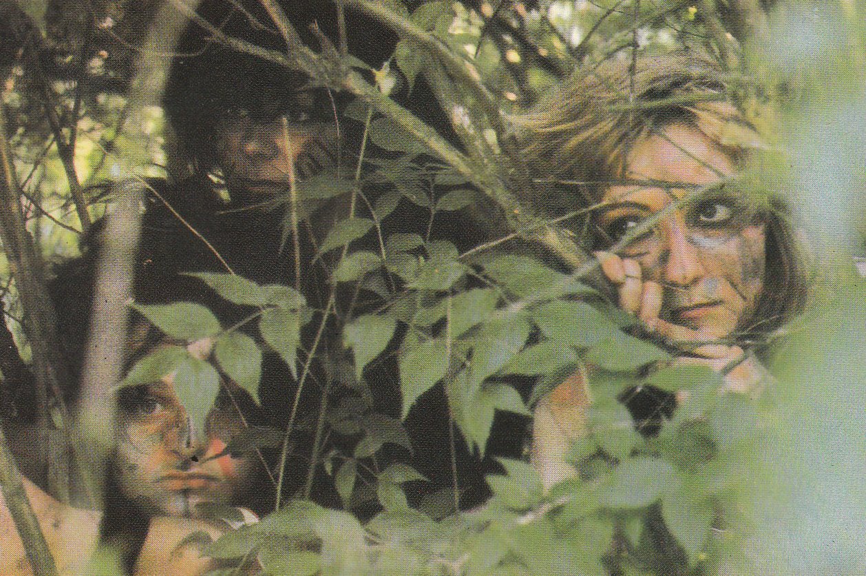 [SLITScutBACKPHOTO.jpg]