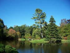 Bar Harbor, Maine