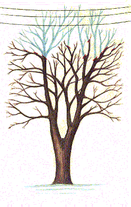 [image010.gif]