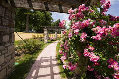 Hyperblogal Loose Park Rose Garden