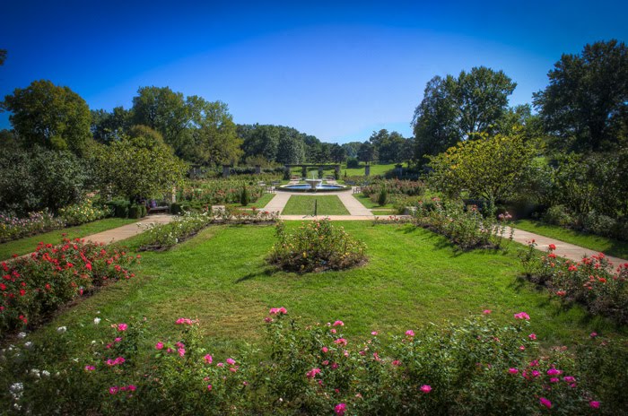 Hyperblogal Loose Park Rose Garden