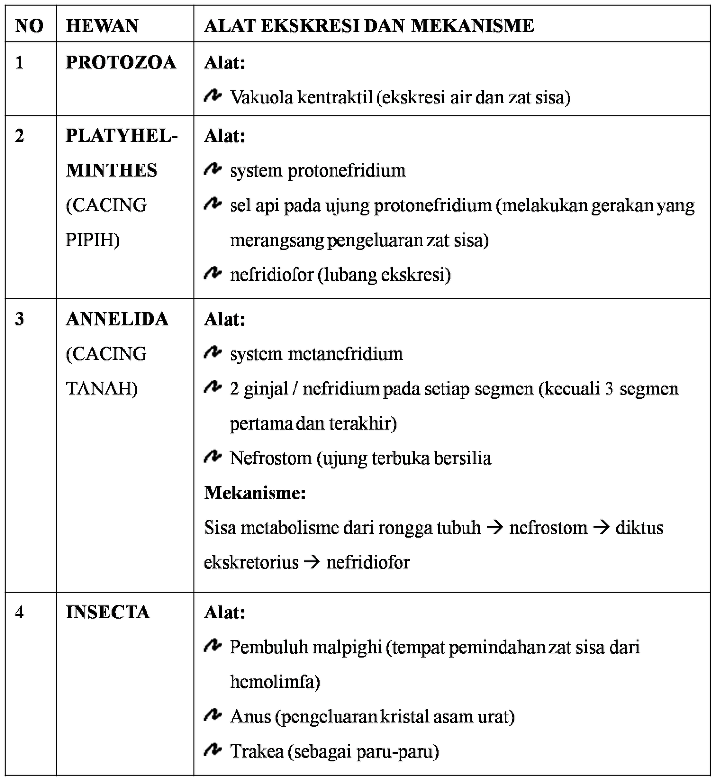 [10+Sistem+Ekskresi+pada+Avertebrata.png]
