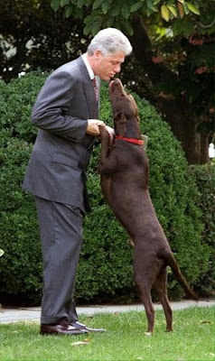 Bill Clinton Dog Named Monica Bill Clinton Dog Named Monica