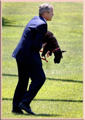 President Bush with "Scottish Terriers" President Bush with "Scottish Terriers"
