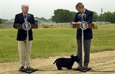 President Bush with "Scottish Terriers" President Bush with "Scottish Terriers"