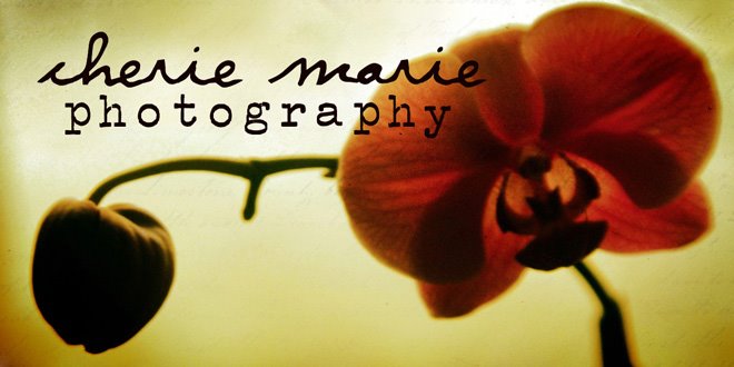 cherie marie photography