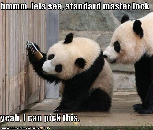 [funny-pictures-pandas-pick-lock.jpg]