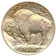 1913 Buffalo Nickel -- Type I -- Reverse