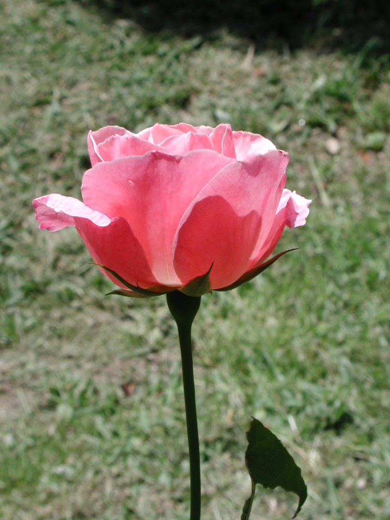 [DSCN2132.JPG]