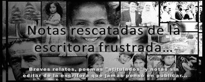 Notas rescatadas de la escritora frustrada...