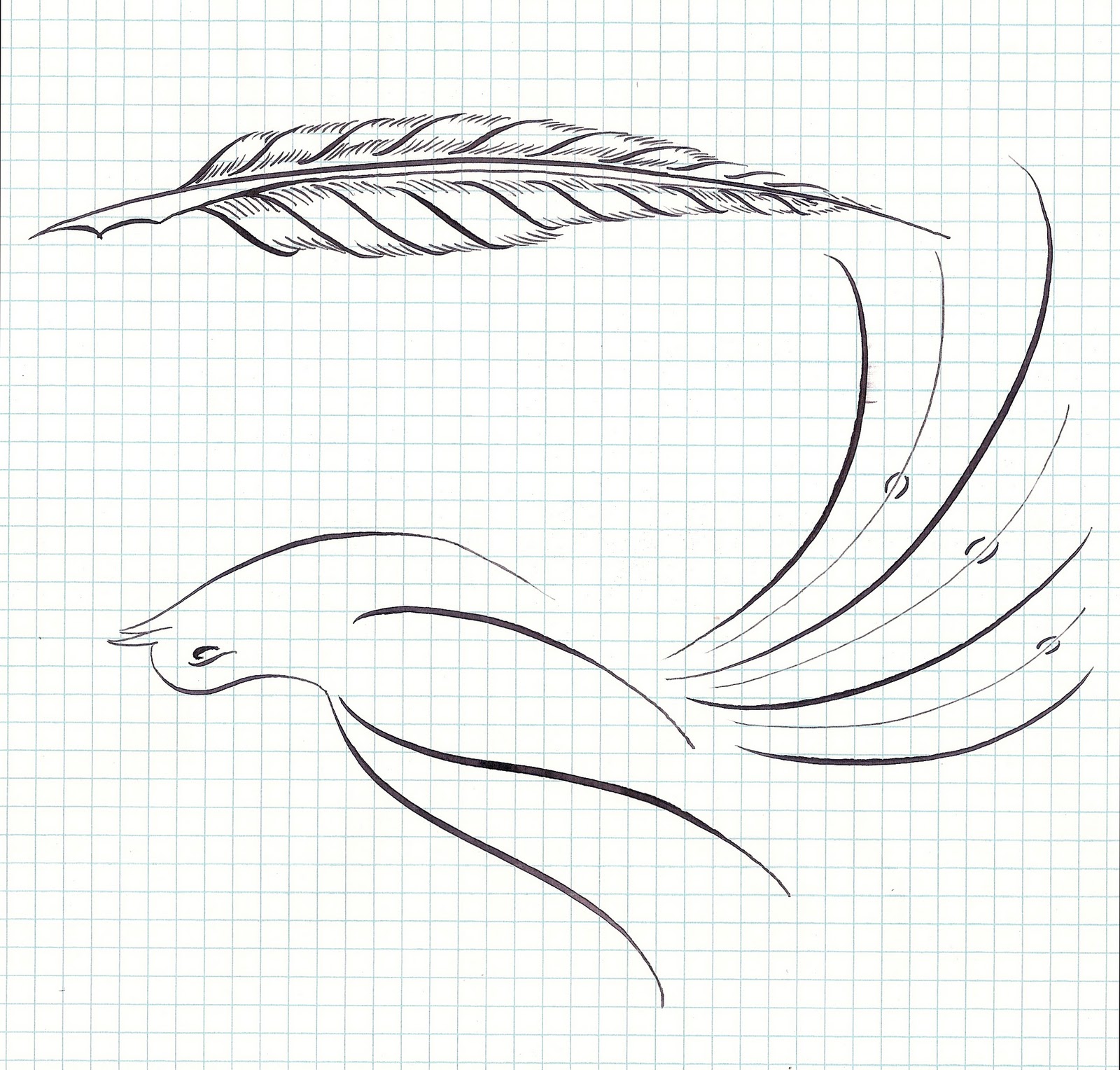 Calligraphic Flourishes