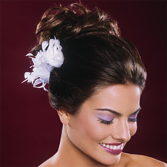 Winter Formal Hairstyles Winter Formal Hairstyles