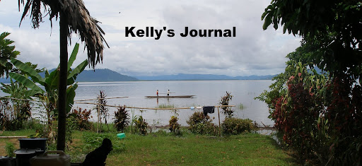 Kelly's Journal