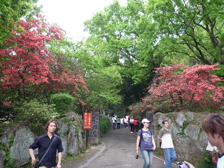 [P1050599.JPG]