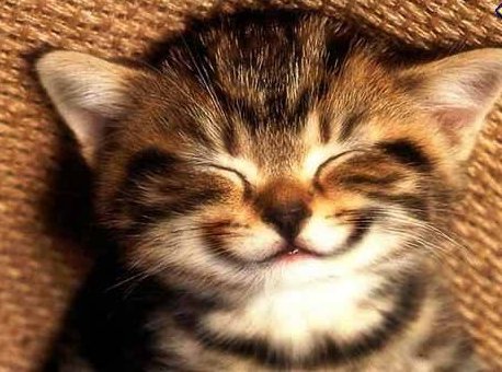 [sorridi.jpg]