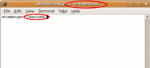 [terminal.gif]