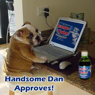 [Dan+Add.jpg]