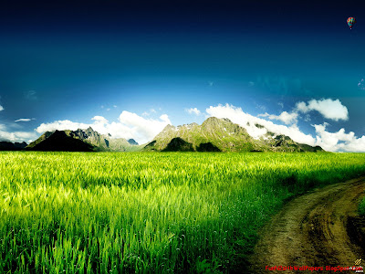 Wallpaper Nature Wallpaper Nature