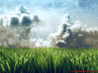 Wallpapers Nature Wallpapers Nature