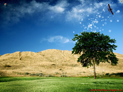 Nature Wallpapers Nature Wallpapers