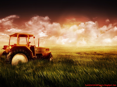 Wallpaper Nature Wallpaper Nature