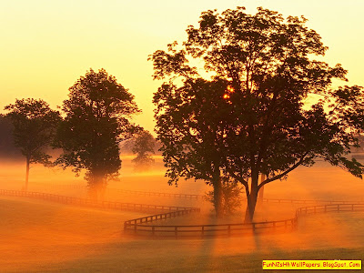 Beautiful Sunrise Beautiful Sunrise