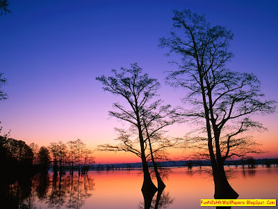Beautiful Sunrise Beautiful Sunrise