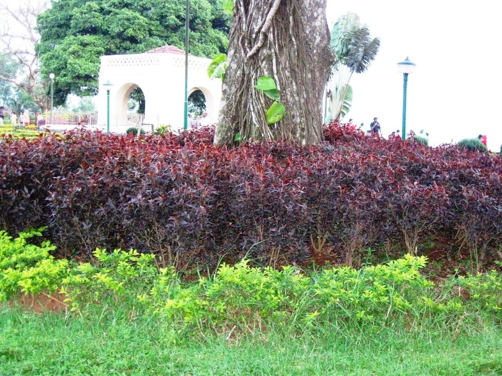 About Coorg
