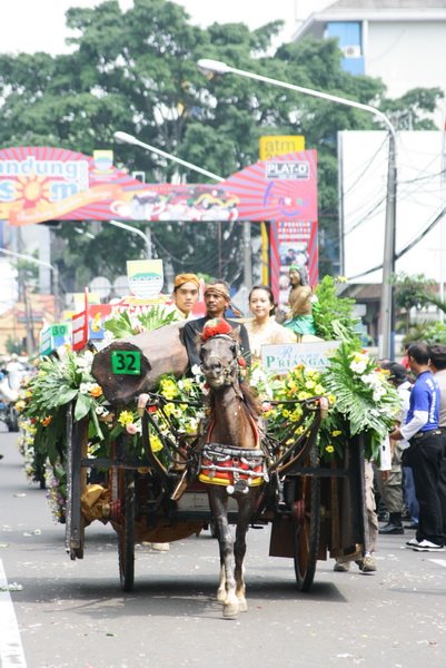 [IMG_6373.JPG]