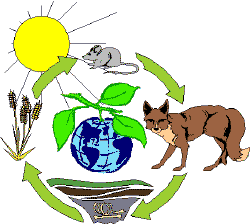 ecosistema ecosistema