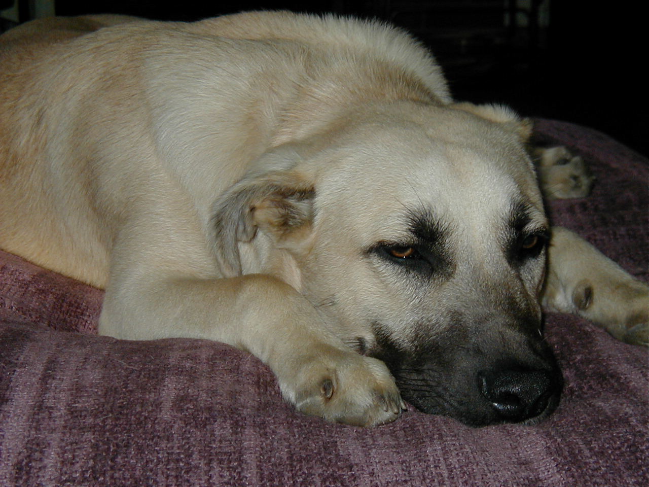 [P1010006.JPG]
