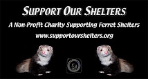 Support Our Shelters