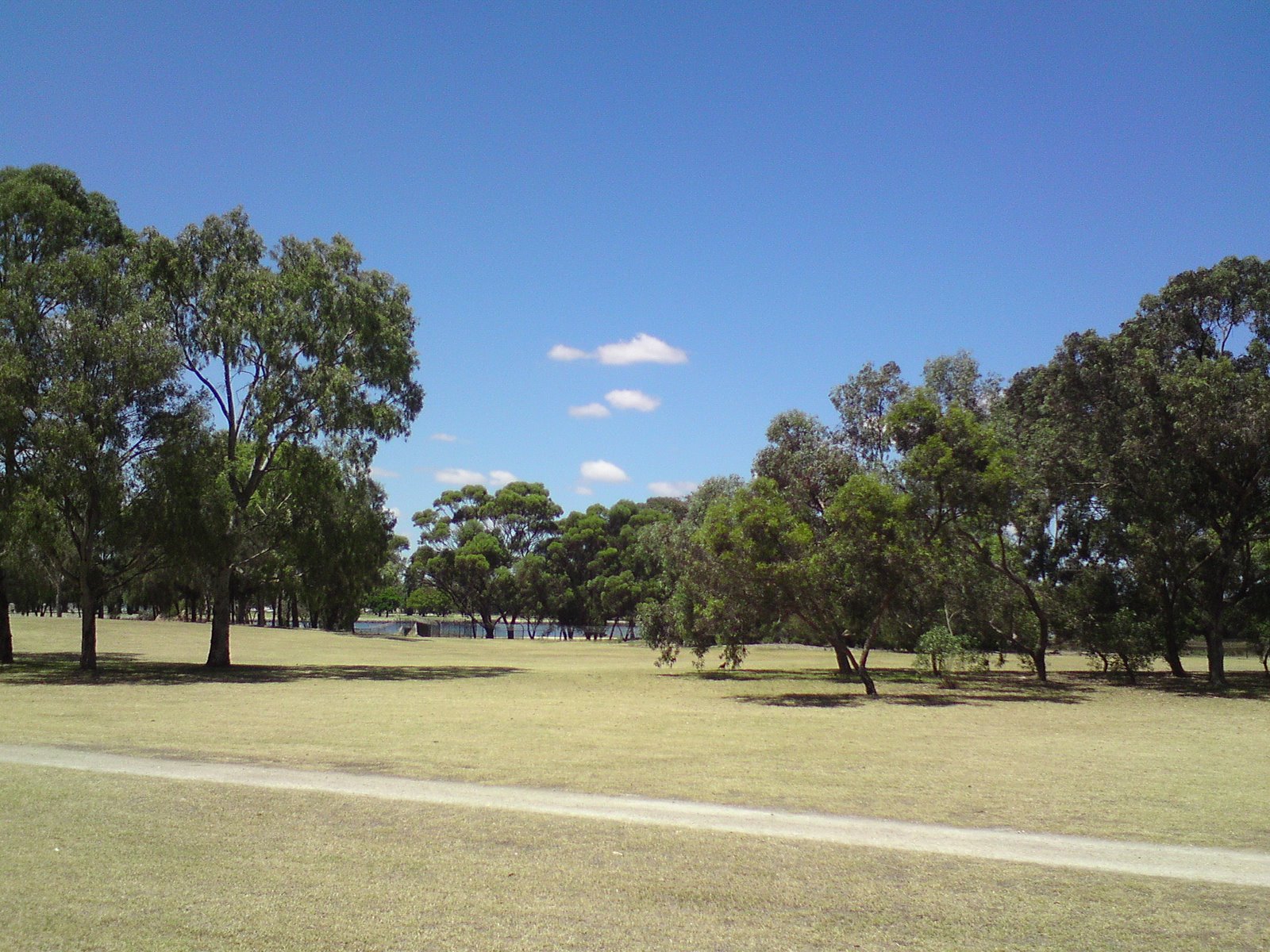 [DSC00583.JPG]